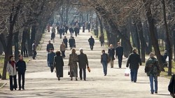 Весна возвращается Весна возвращается