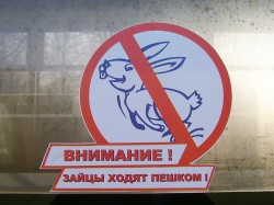Московские «зайцы» обанкротятся Московские «зайцы» обанкротятся