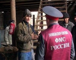 Мигрантов проверят на судимость Мигрантов проверят на судимость