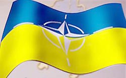 Киев предостерегли от вступления в НАТО