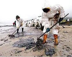 Станет ли Черное море ядовитым? Станет ли Черное море ядовитым?