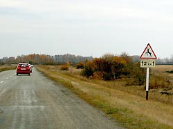 Лось погубил троих россиян Лось погубил троих россиян
