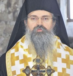 Епископ Рашко-Призренский Феодосий: «Мы благодарны России» Епископ Рашко-Призренский Феодосий: «Мы благодарны России»