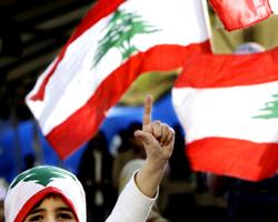 Ливанский кедр заживляет раны
