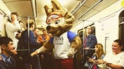 Стали известны самые необычные вопросы от гостей ЧМ-2018 Стали известны самые необычные вопросы от гостей ЧМ-2018