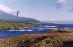 Россия обустраивает Курилы Россия обустраивает Курилы