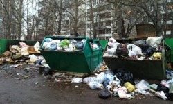 «Мусорный» вопрос «Мусорный» вопрос