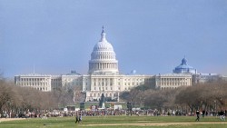 Сенату рассказали о первых итогах расследования по России Сенату рассказали о первых итогах расследования по России
