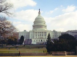 Предвыборная интрига по-американски Предвыборная интрига по-американски