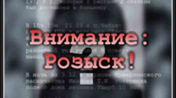 Американских усыновителей объявили в розыск Американских усыновителей объявили в розыск