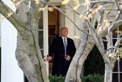 Трамп предложил Путину встретиться Трамп предложил Путину встретиться
