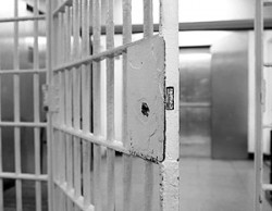 Госдума готовит очередную амнистию Госдума готовит очередную амнистию