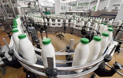 Роспотребнадзор подвёл итоги проверки молочного рынка