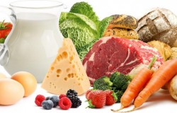 В России появятся продуктовые карты В России появятся продуктовые карты