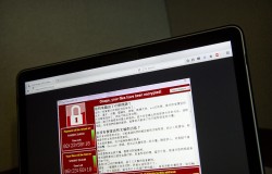 Вирус WannaCry могли создать хакеры из КНДР Вирус WannaCry могли создать хакеры из КНДР