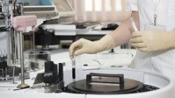 Вирус Коксаки опустошает турецкие пляжи Вирус Коксаки опустошает турецкие пляжи