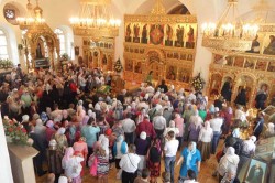 «Небесный покровитель к нам вернулся…» «Небесный покровитель к нам вернулся…»