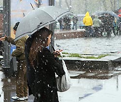 В столице пройдет небольшой снег В столице пройдет небольшой снег