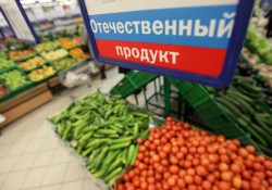 Политика импортозамещения проваливается Политика импортозамещения проваливается