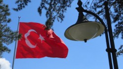 Турция даст Асаду полгода для передачи власти