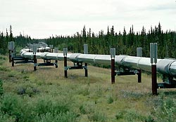 Россия лишила Эстонию нефти Россия лишила Эстонию нефти