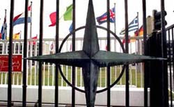 Грузия заманивает Украину в НАТО Грузия заманивает Украину в НАТО