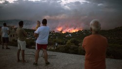В Греции лесные пожары унесли жизни 91 человека В Греции лесные пожары унесли жизни 91 человека