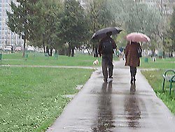 Конец недели будет дождливым Конец недели будет дождливым