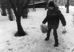 Москва превращается в каток Москва превращается в каток