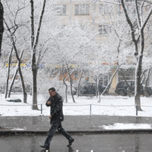 В Москве пройдет дождь со снегом В Москве пройдет дождь со снегом