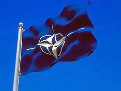 Украине и Грузии дорога в НАТО пока закрыта Украине и Грузии дорога в НАТО пока закрыта