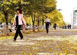 В Москве будет прохладно В Москве будет прохладно
