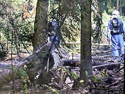 Под Челябинском разбился самолет Ан-12 Под Челябинском разбился самолет Ан-12