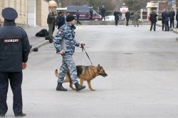 В Ростове нашли организатора взрыва возле школы В Ростове нашли организатора взрыва возле школы