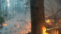 В Бурятии введён режим ЧС В Бурятии введён режим ЧС