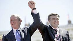 Розы и шипы Мишико Саакашвили Розы и шипы Мишико Саакашвили