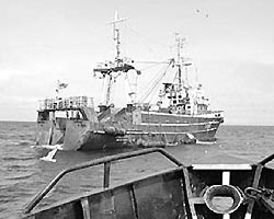 В Японском море спасли 35 наших моряков В Японском море спасли 35 наших моряков