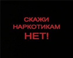 Сегодня день без наркотиков Сегодня день без наркотиков