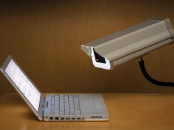 Что скрывает правительство Что скрывает правительство