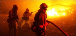 Россию вновь охватили пожары Россию вновь охватили пожары