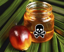 Из топливного бака – к столу? Из топливного бака – к столу?