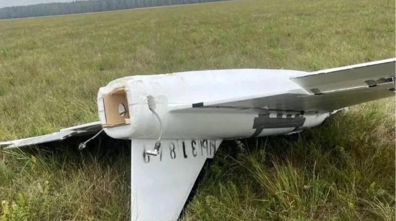 Дроновая лихорадка Дроновая лихорадка