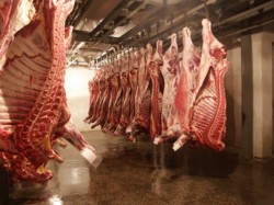 Россия запретила молдавское мясо