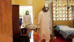 Эбола убила более тысячи человек