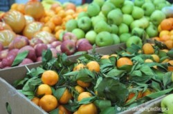 Россия запретила ввоз продуктов из Болгарии Россия запретила ввоз продуктов из Болгарии