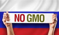 В России запретили выращивать ГМО В России запретили выращивать ГМО