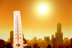 Москвичам пообещали теплое сухое лето Москвичам пообещали теплое сухое лето