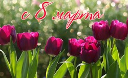 С 8 марта! С 8 марта!