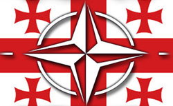 Грузия назвала сроки вступления в НАТО Грузия назвала сроки вступления в НАТО