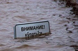 Амур бьет рекорды Амур бьет рекорды